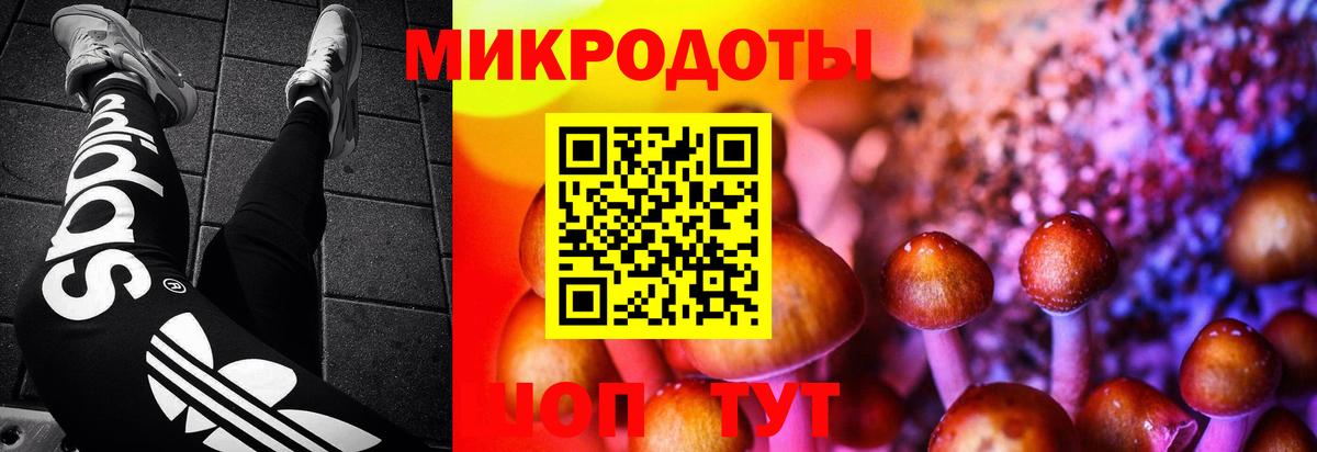 Галлюциногенные грибы Psilocybe  Вход с VPN  наркошоп  Салават 